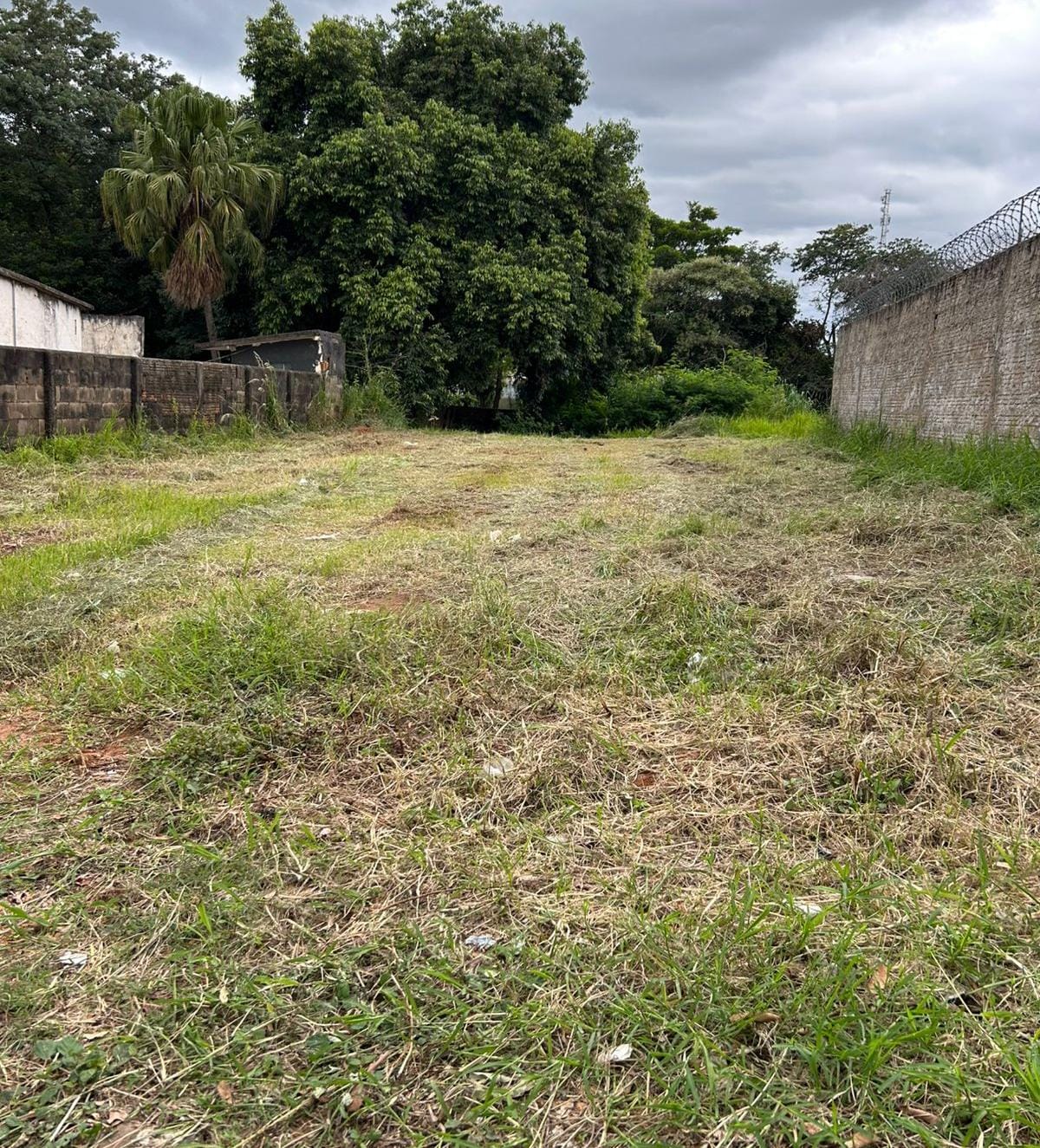 VENDO TERRENO NO CENTRO